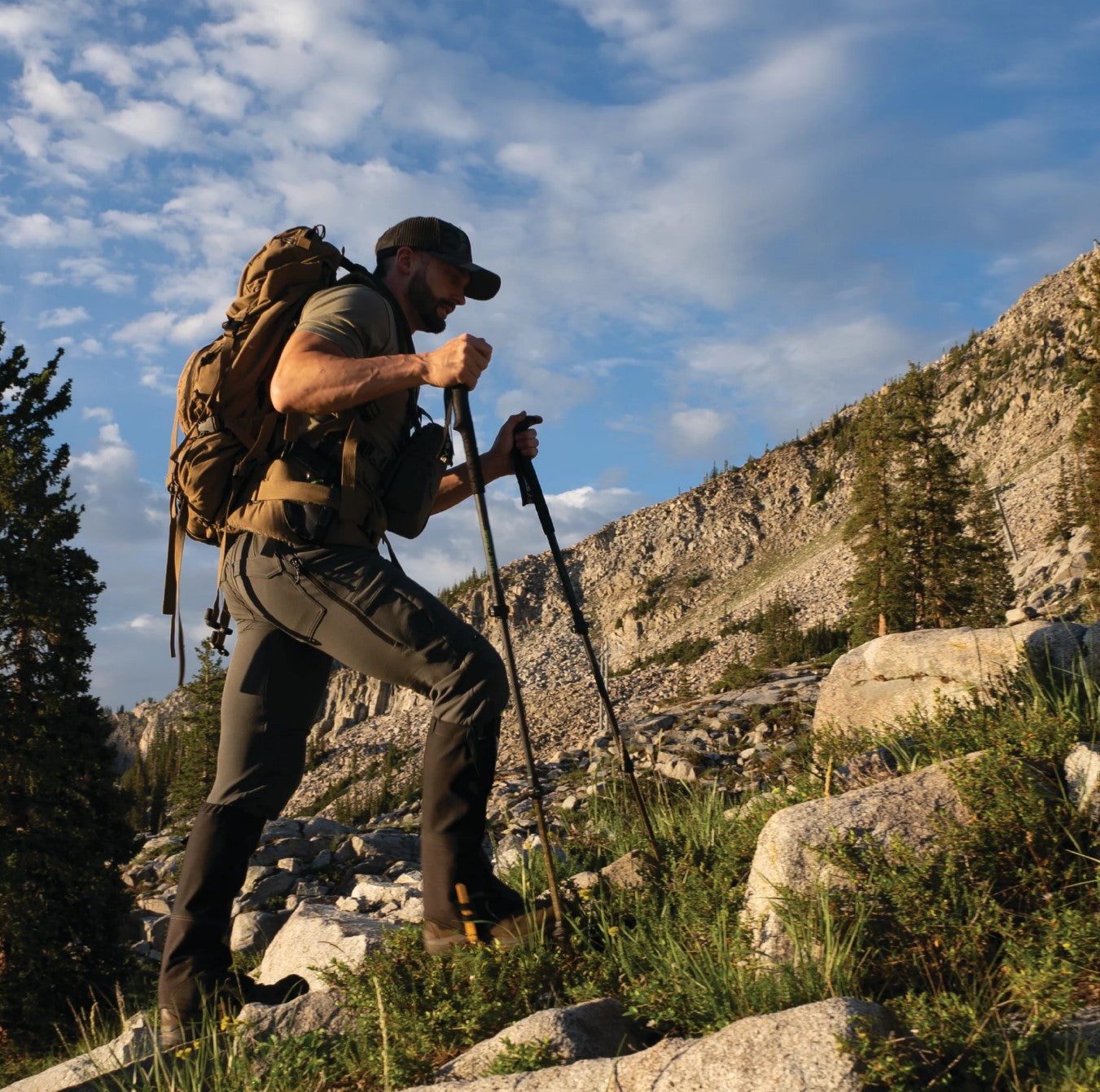 Trekking Poles