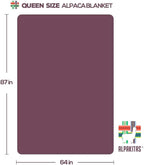 Alpaca Wool Blanket - Queen Size Bed Throw & Warm, Lightweight, Couch or Camp - Outdoor - 87 x 64 Inches (Light Turquoise)