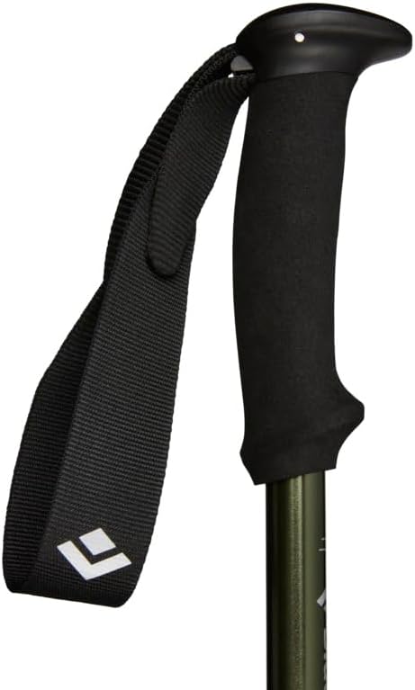 Black Diamond Trail Explorer 3 Trekking Poles