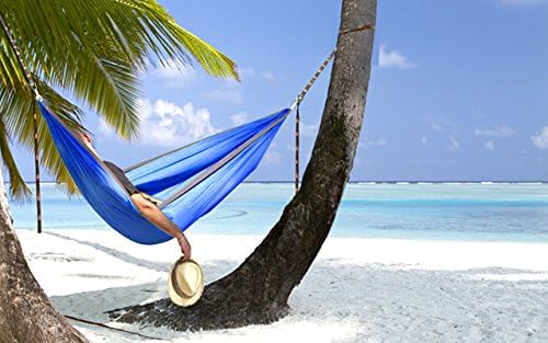 12KN Heavy Duty Carabiner Clips - Favofit 3.2'' Small Carbineers for Hiking Camping Hammocks Keys Keychains Dog Leashes - Ideal for Outdoor Enthusiasts