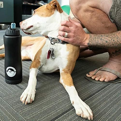 Epic Water Filters Vostok Stainless Steel Insulated Water Bottle and 75 Gallon Filter - Removes 99.99% of Water Impurities, 34oz,