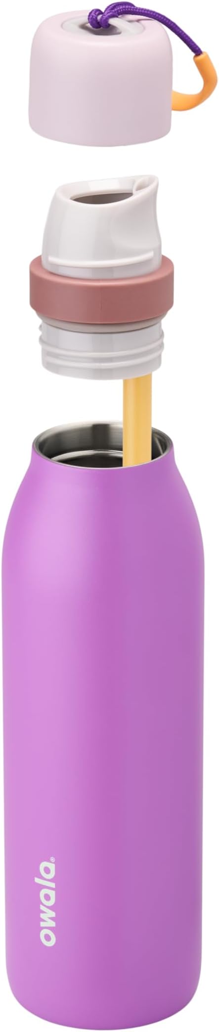 Owala FreeSip Twist Insulated Stainless Steel Water Bottle with Straw for Sports and Travel, BPA-Free, 18-oz, Purple (California Grapevine)