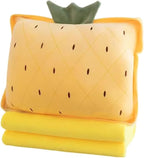 Fruit Throw Blanket and Pillow Set, Travel Blanket Compact Convenient Bed Throw Pillows with Airplane and Car Suitable for Office Nap Time (G, 67in x 39in)