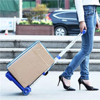 Heavy Duty Folding Hand Truck Portable Trolley Cart for Luggage Shopping & Moving Foldable Sack Wheel Barrow for Home Use (Black 02)