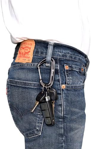 12KN Heavy Duty Carabiner Clips - Favofit 3.2'' Small Carbineers for Hiking Camping Hammocks Keys Keychains Dog Leashes - Ideal for Outdoor Enthusiasts