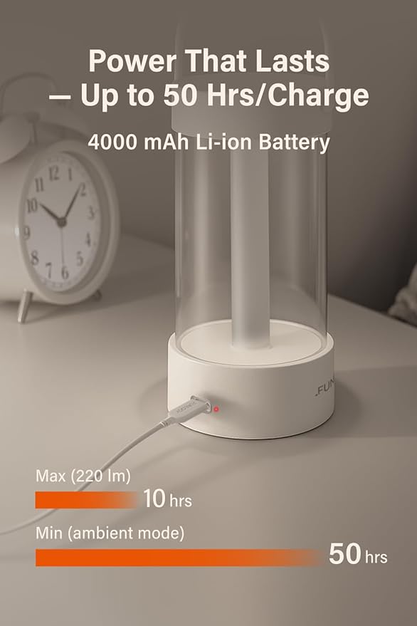 Lantern - Rechargeable LED Camping Lantern, Vintage 360° Dimmable Light , 4000mAh Power Bank, High CRI 95, IPX4 Water-Resistant, Portable for Home, Emergency, Outdoor, White