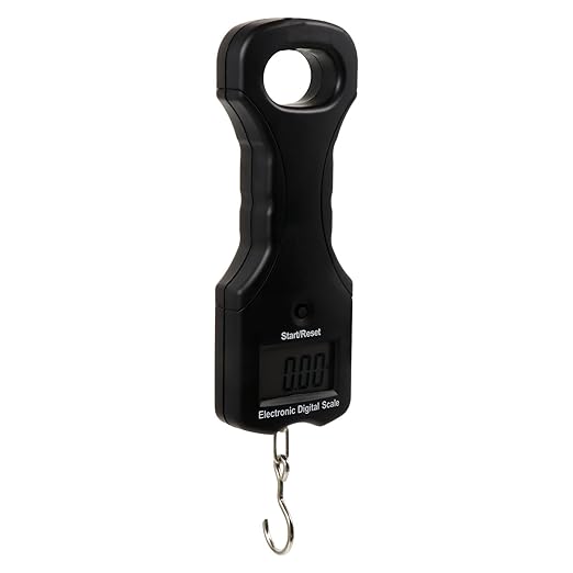 Digital Portable Hanging Luggage Scale 30kg Capacity Electronic Travel Weighing Scale for Suitcases and Fishing with Backlit Display
