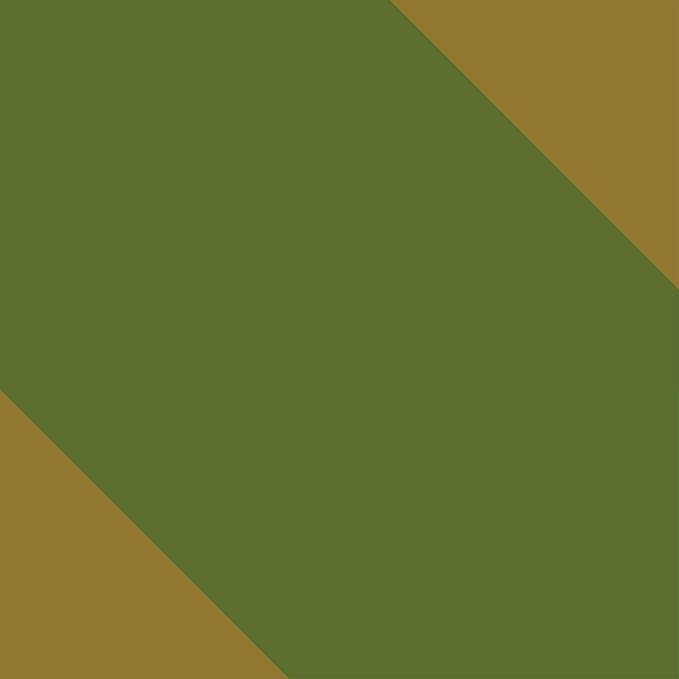 Durable Hammock 500 lb Capacity, Nylon Camping Hammock Chair - Double or Single Sizes w/Tree Straps and Attached Carry Bag - Portable for Travel/Backpacking/Beach/Backyard (Large, Khaki & Dark Green)