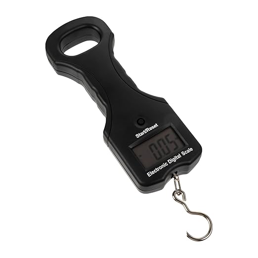 TEHAUX 30kg Portable Electronic Hanging Scale Handheld Digital Weight Scale with Hook for Fishing Luggage Travel Accessories