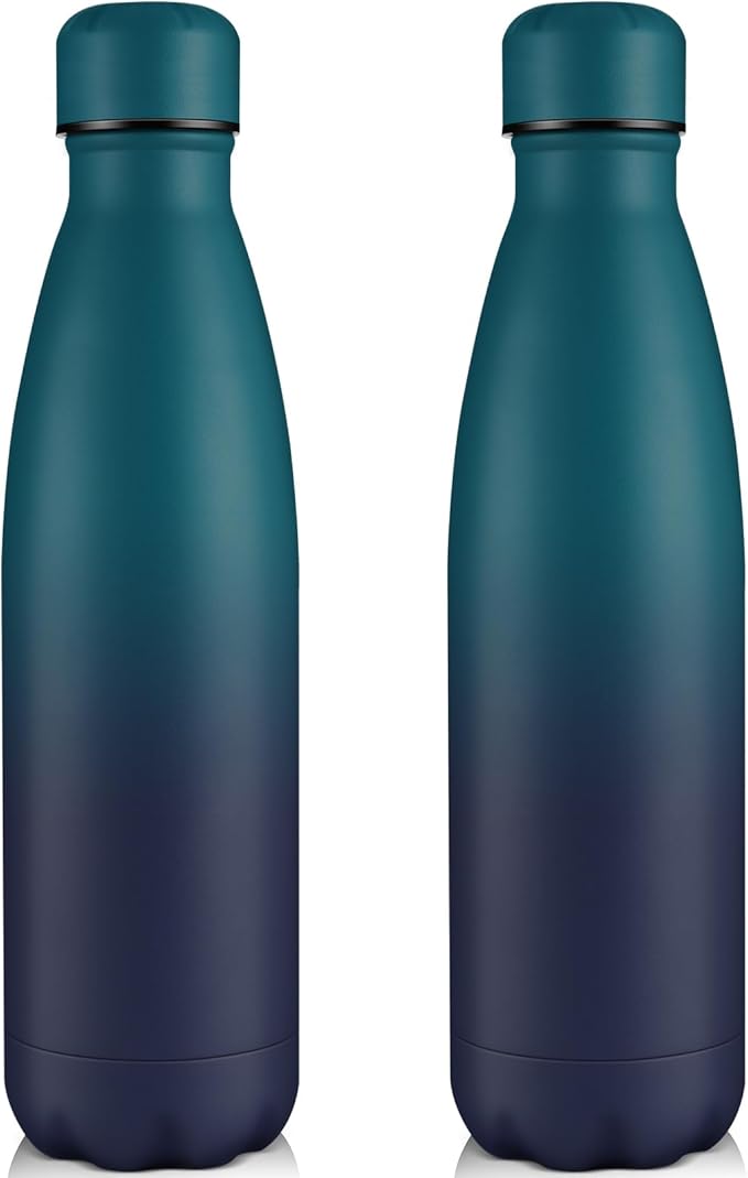 Volhoply 25oz Insulated Water Bottles 1/2/4 Pack, Double Wall Stainless Steel Vacuum Flask Keeps Cold & Hot, BPA Free Leakproof Bottle (Dark Night,2 Pack)