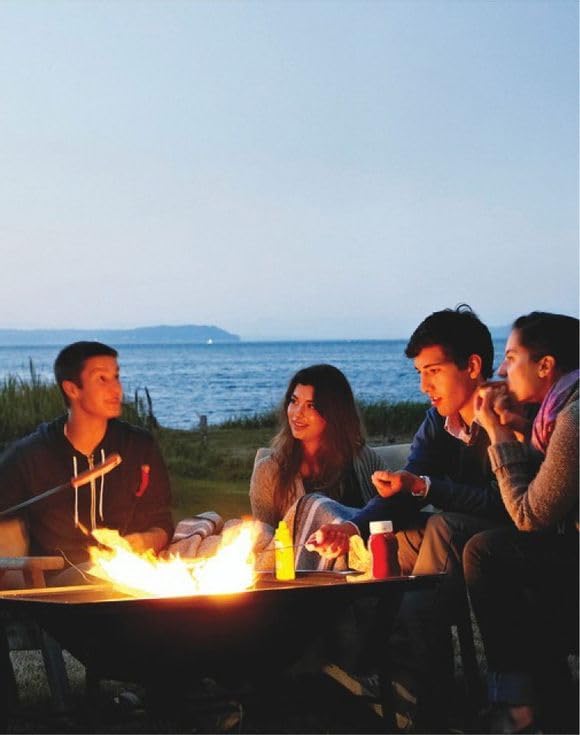 Skin So Soft Bug Guard Plus Picaridin Aerosol Spray (4.0 Fl Oz)