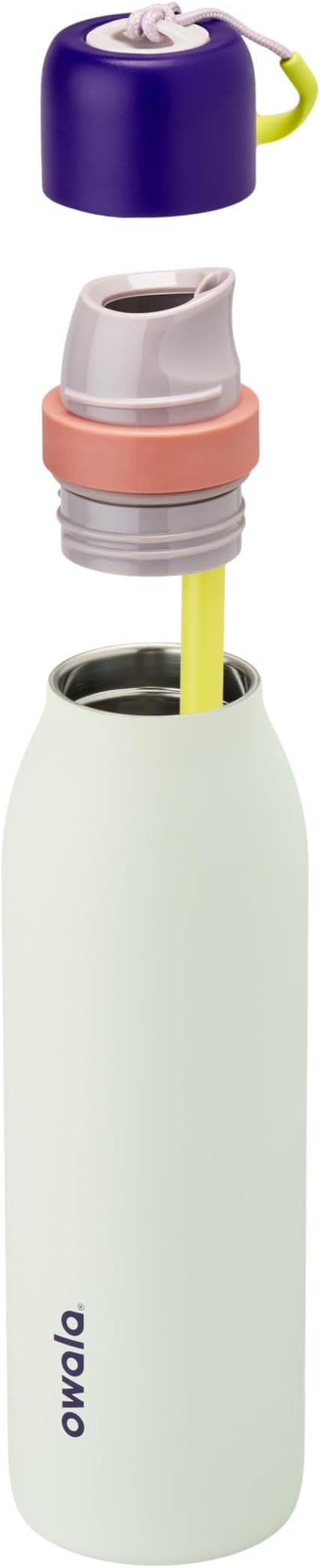 Owala FreeSip Twist Insulated Stainless Steel Water Bottle with Straw for Sports and Travel, BPA-Free, 18-oz, Purple/Mint (Minty Horizons)