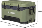 Igloo BMX Hard Coolers (25-72QT)