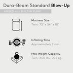 INTEX Dura-Beam Standard Pillow Rest Air Mattress: Fiber-Tech