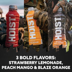 HOIST Premium Military Hydration Electrolyte Drink, Powerful IV-Level Hydration, Clinically Proven Performance Drink, Variety Pack, 16 Fl Oz (Pack of 12)