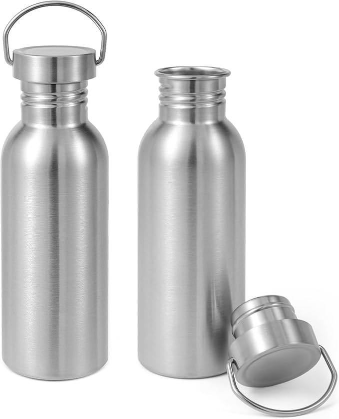 Volhoply 22oz Stainless Steel Water Bottle with Handle 2 Pack,Non Insulated Single Wall, Dishwasher Safe No Plastic 18/8 304 Metal Water Bottles with Wide Mouth for Camping, Hikers, Cyclists