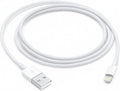 Apple Lightning to USB Cable (1 m)