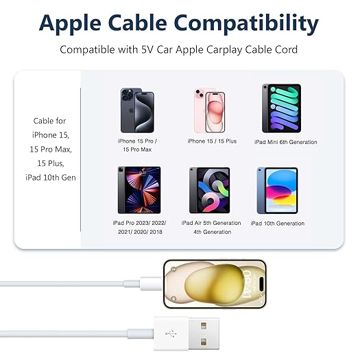 AHDFWI 2 Pack USB-A to C Carplay Charger Cable for iPhone 16 15, iPhone 16 15 Pro Max, 16 15 Plus, iPad Pro 12.9/11, iPad Air 5th 4th Mini 6th Gen Cable for Charging Cable Cord - 4FT