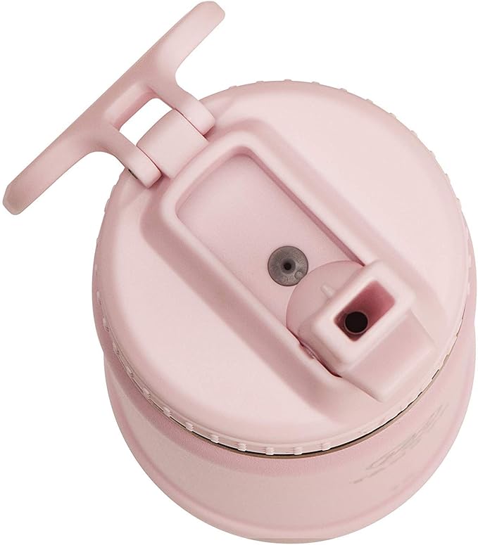 Takeya Actives 32 oz Water Bottle with Straw Lid - Double Wall Stainless Steel Insulation - Dishwasher Safe & BPA-Free - Removable Bumper - Blush