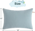 BEDSUM 2 Pack Pillows, 13"x18" Microfiber Pillows for Travel, Pets, Soft and Machine Washable Small Pillows for Neck, Wrist, and Knee Comfort, Sea Green