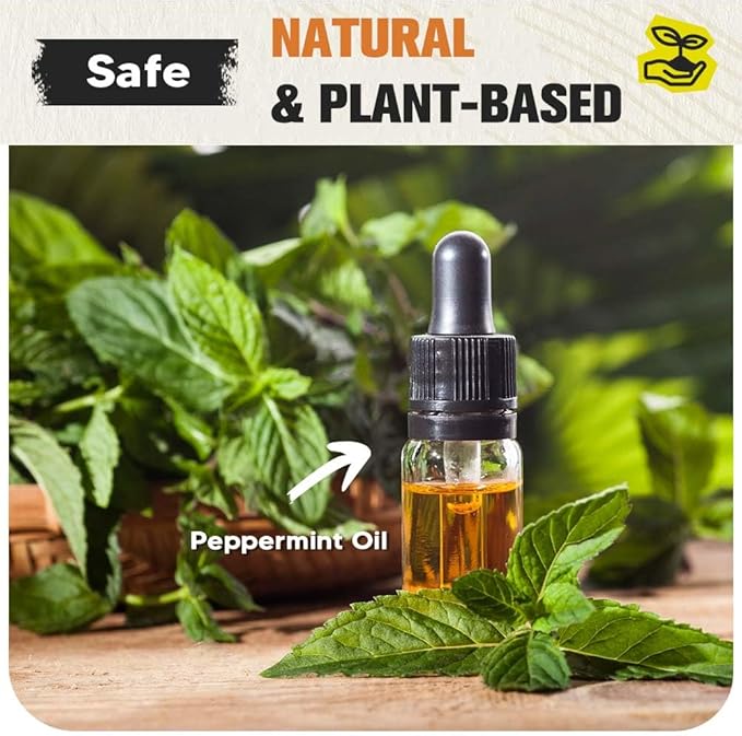 Pest Repellent, Rodent Repellent for Indoor and Outdoor, Keep Roach, Mouse, Ant, Moth and Spider Away from House, Attic, Kitchen and Car Engines, Safe for Kids and Pets, Protects 120 sq ft - 8P