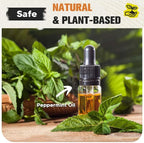 Pest Repellent, Rodent Repellent for Indoor and Outdoor, Keep Roach, Mouse, Ant, Moth and Spider Away from House, Attic, Kitchen and Car Engines, Safe for Kids and Pets, Protects 120 sq ft - 8P