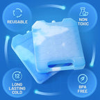 Everlasting Ice RX Large Reusable Ice Packs for Cooler with Handle (4 Pack) Long Lasting Coolness, BPA Free, Freezer Packs for Extended Cooling | Cooler Ice Packs for Camping, Fishing, Hiking, Beach
