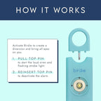 She’s Birdie–The Original Personal Safety Alarm for Women by Women–Loud Siren, Strobe Light and Key Chain in a Variety of Colors (Metallic Silver)