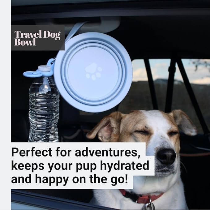 3-in-1 Travel Dog & Cat Bowl – Collapsible BPA-Free Silicone & 18/8 Stainless Steel, Portable & Non-Slip with Handle, Easy to Clean, Food & Water Bowl for On-the-Go Pets, Bottl/Poop Bag Holder