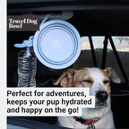 3-in-1 Travel Dog Bowl Set – 30 OZ Stainless Steel + 20 OZ Collapsible Water Bowl Lid | BPA-Free, Anti-Slip, Portable Dog Bowl w/Handle/Poop Bag Holder with Carabiner | Pink Bowls