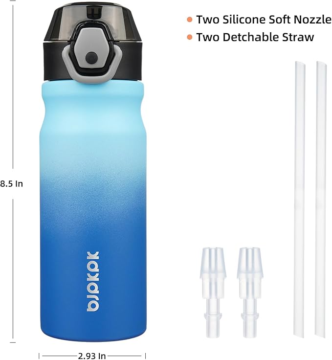 BJPKPK Water Bottle With Straw 18oz Insulated Water Bottles Reusable Stainless Steel Metal Thermo With Leak Proof Lockable Lid And Carry Handle,Sky