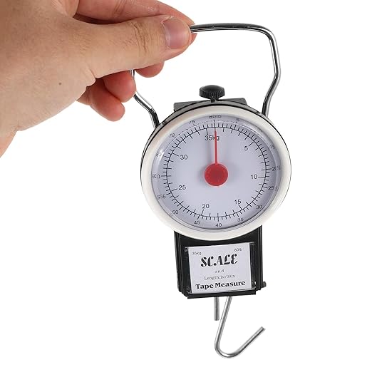 Portable Mini Hanging Spring Luggage Scale 35kg Capacity Handheld Small Travel Weight Scale with Hook for Suitcase and Baggage