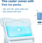11Qt 19Qt Insulated Portable Cooler Leak-Proof Ice Chest Lunch Box Hard Coolers with Extra Ice Pack for BBQ, Camping, Pincnic