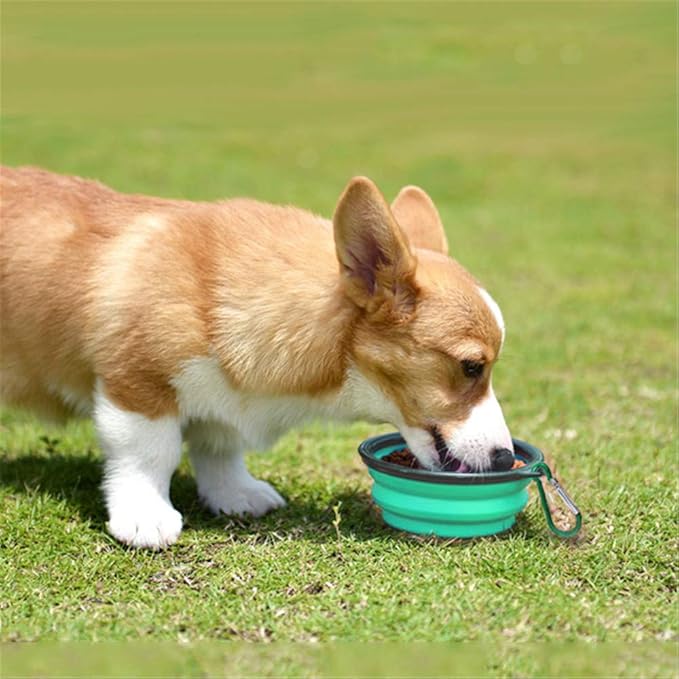 SLSON Collapsible Pet Bowl Dog Bowls 2 Pack, Portable Silicone Pet Feeder, Foldable Expandable for Dog/Cat Food Water Feeding, Travel Bowl for Camping (Light Blue+Light Green)