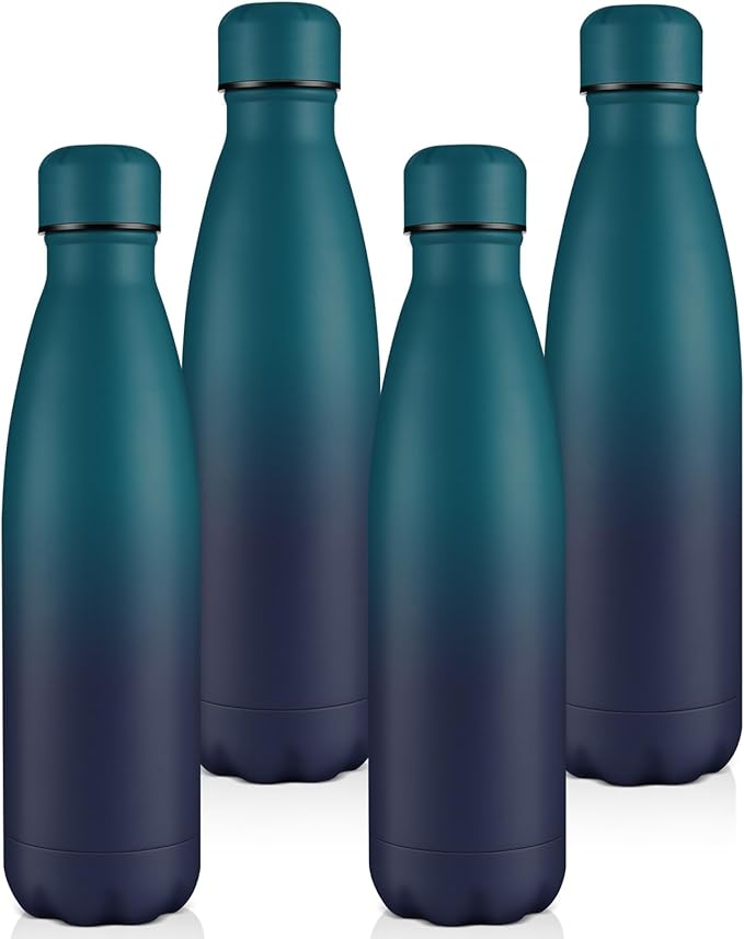 Volhoply 25oz Insulated Water Bottles Bulk 1/2/4 Pack, Metal Sports Water Bottles, Keeps Cold & Hot, BPA Free Leakproof Bottle (Dark Night,4 Pack)