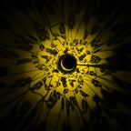 Solar Lanterns Outdoor Waterproof, Cat Garden Decor for Yard Porch Lawn Patio Pathway, Hanging Solar Lights Birthday Gifts for Women Mom Grandma Sister Friend