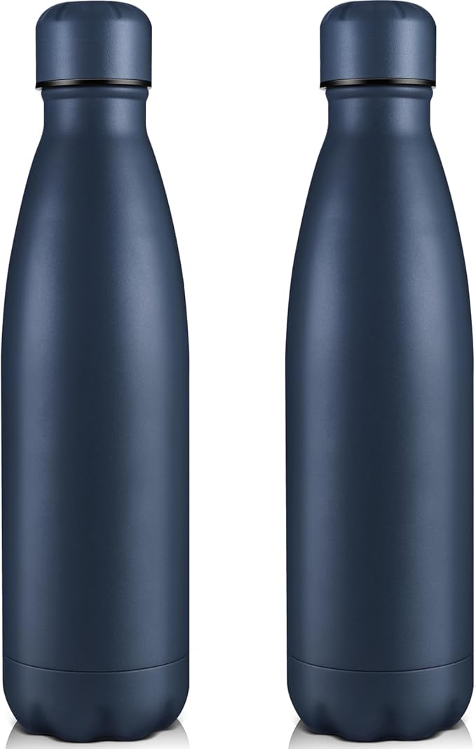 Volhoply 25oz Insulated Water Bottles 1/2/4 Pack, Double Wall Stainless Steel Vacuum Flask Keeps Cold & Hot, BPA Free Leakproof Bottle (Nvay,2 Pack)
