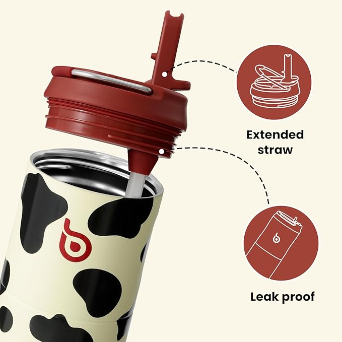 BOTTLE BOTTLE Insulated Water Bottle 24oz with Straw Lid and Handle for Sports Travel Gym Stainless Steel Water Bottles Double-Wall Vacuum Metal Leak Proof BPA-Free