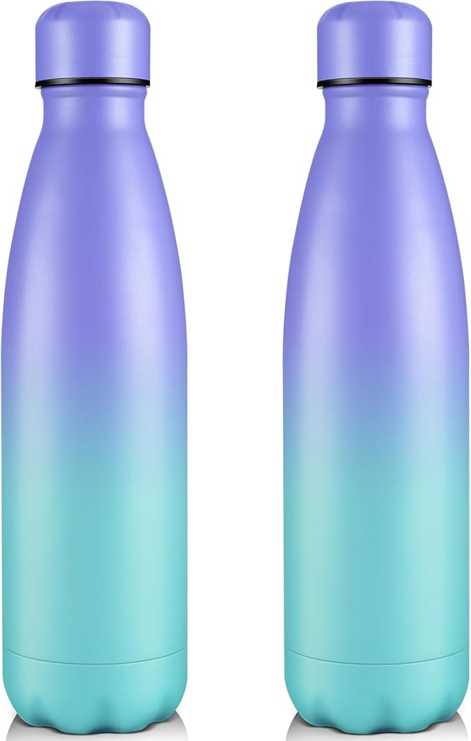 Volhoply 25oz Insulated Water Bottles 1/2/4 Pack, Double Wall Stainless Steel Vacuum Flask Keeps Cold & Hot, BPA Free Leakproof Bottle (Purple Blue,2 Pack)