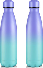 Volhoply 25oz Insulated Water Bottles 1/2/4 Pack, Double Wall Stainless Steel Vacuum Flask Keeps Cold & Hot, BPA Free Leakproof Bottle (Purple Blue,2 Pack)