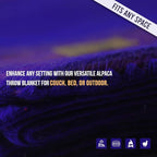 Alpaca Wool Blanket - Queen Size Bed Throw & Warm, Lightweight, Couch or Camp - Outdoor - 87 x 64 Inches (Blue & Purple)