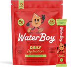 Waterboy Daily Hydration | 1,570mg Electrolyte Powder Packets | No Sugar, All Natural, Gluten Free, Zero Calories | 15 Drink Stick Mixes (Cucumber Citrus)
