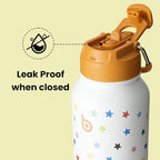 BOTTLE BOTTLE 32oz Insulated Water Bottle Stainless Steel Sport Water Bottle with Straw Dual-use Lid Design for Gym with Pill Box