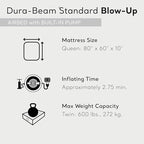 Intex 64765E Dura-Beam Standard Classic Air Mattress with Inflatable Pillows: Fiber-Tech - Queen Size - Hand Pump - 10in Bed Height - 600lb Weight Capacity