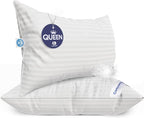 Continental Bedding | Serenity Goose Down Pillow | 700 Fill Power Hungarian White Down | 400TC Cotton Damask Shell | Made in USA | Queen, Medium | 2 Pack