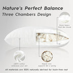 Globon Luxury Down Pillow Queen Size, Firm Hotel Collection Bed Pillow with 100% Cotton Cover, Down Surrounded Feather Pillow, 20x30 Inches (1 Pack)