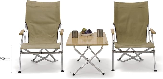Snow Peak Low Beach Chair, Collapsible, Outdoor, Camping, Patio, Brown