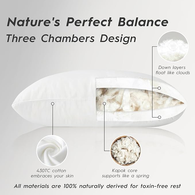 Globon Luxury Down Pillows King Size Set of 2 for Side Sleepers, 100% Cotton Shell Hotel Collection Bed Pillows for Sleeping, Firm Down Surrounded Feather Pillow 20" x 36"