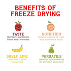 Nature’s Turn Freeze-Dried Banana Crisps – Healthy, Gluten-Free, Crispy & Delicious, Plant-Based Snack, Ideal for Cereal, Smoothies, School Lunches, & On-the-Go, Pack of 12 (0.53 oz Each)