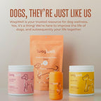 WagWell Freeze Dried Cheese Dog Treats - Grain-Free, High-Protein Pasteurized Dog Treats Made in The USA - Human-Grade, Minimally Processed & Preservatives Free - Pack of 2